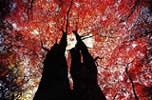 ���H