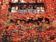 窓辺の紅葉