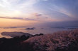 夕照