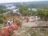 山梨県高根町・清里高原つつじ祭り