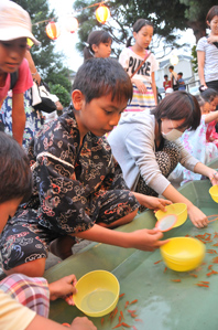 作例１金魚すくいはローアングルで