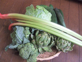 野菜