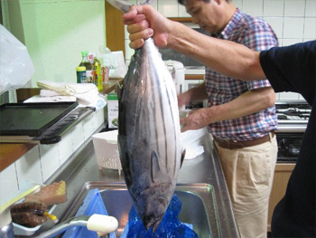 鰹