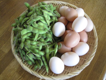 鶏卵販売所