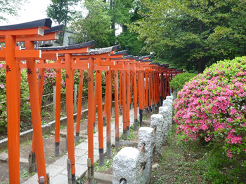 千本鳥居