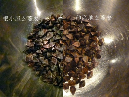 蕎麦の実