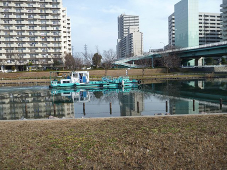 穏やかな水面
