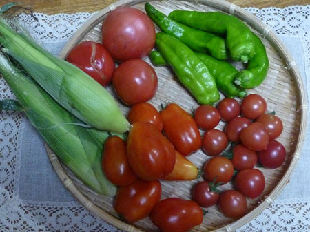 野菜