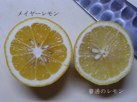 良き香り