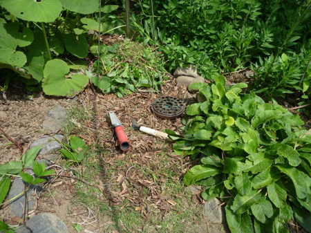 除草剤