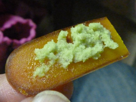 名物