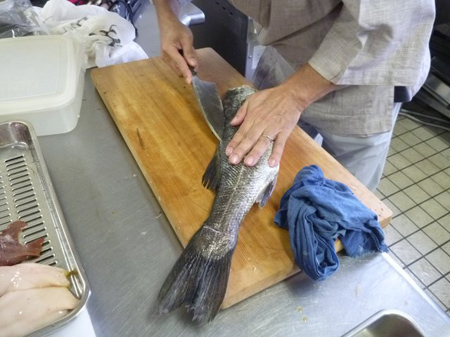 地魚