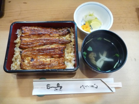 鰻