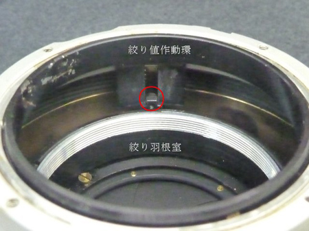 咬合