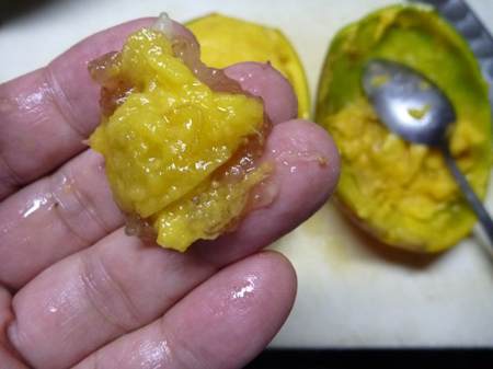 味わってみました