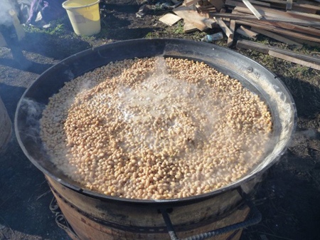 寒仕込み津久井在来大豆味噌(後編)
