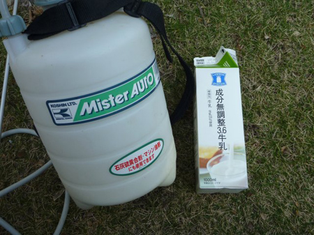 牛乳の蛋白質で覆われたアブラムシは呼吸困難となり死滅