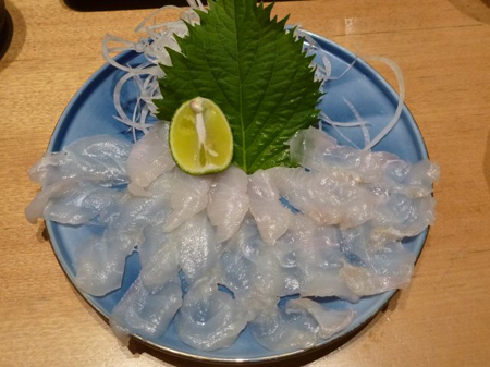 生姜の発芽