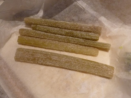 生姜の発芽