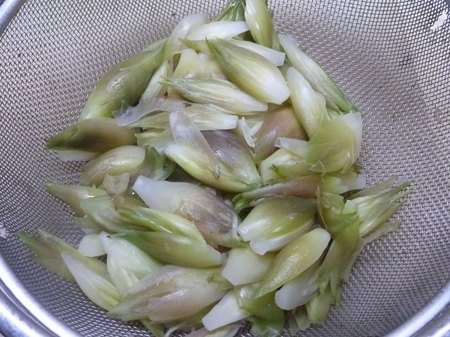 夏野菜茗荷