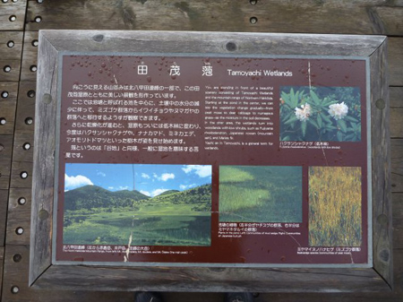 八甲田の霧氷
