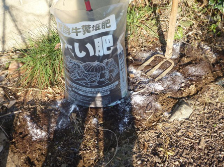 寒の内なのに