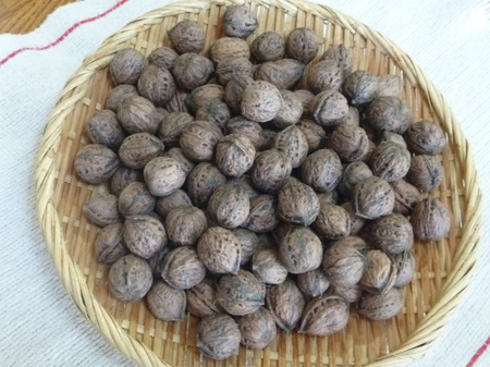 渡良瀬産鬼胡桃