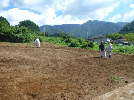根小屋蕎麦を蒔く