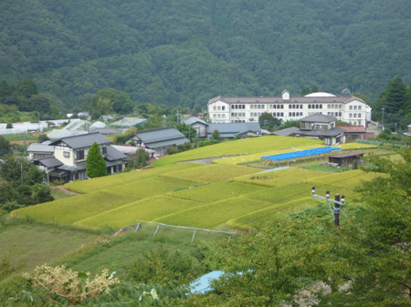 青根の棚田
