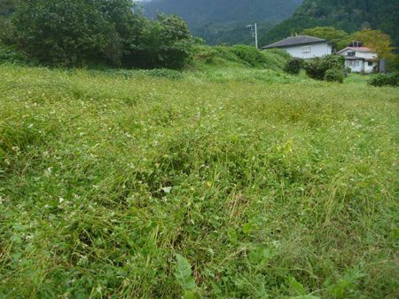 檜原村