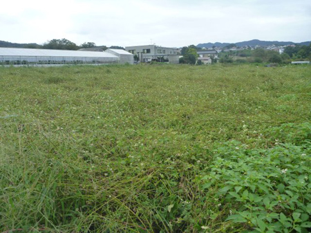 檜原村