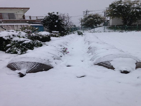 霧に包まれて