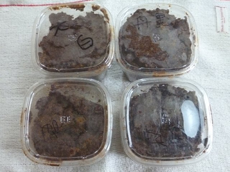 津久井大豆味噌仕込み（後編）