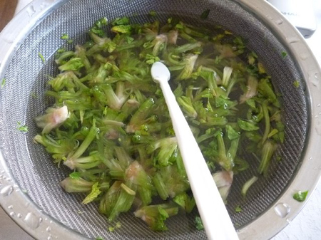 ちぢみほうれん草