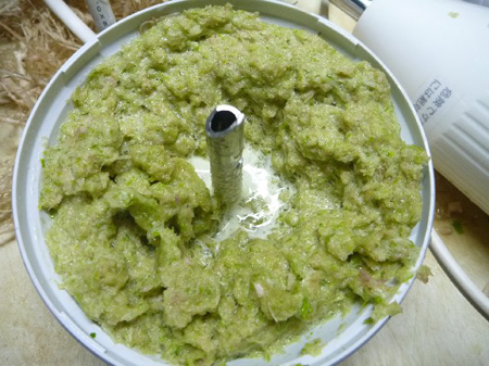 ちぢみほうれん草