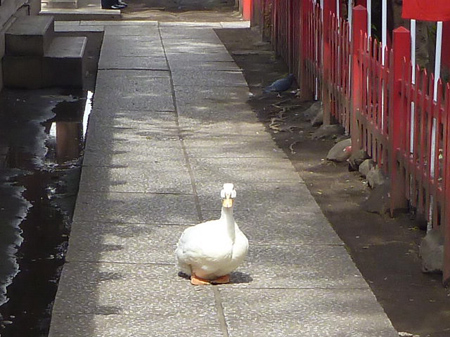 とおせんぼ