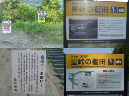棚田巡り