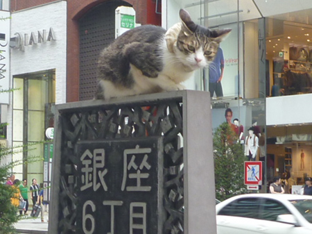 GSIX