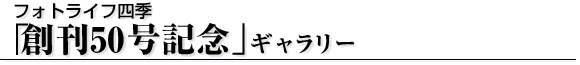 ���c�����搶�́u�A�j�}����t�H�g�M�������[�v