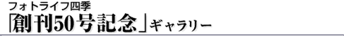 �t�H�g���C�t�l�G�u�n��50���L�O�v�M�������[