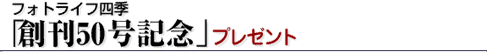 �t�H�g���C�t�l�G�u�n��50���L�O�v�v���[���g