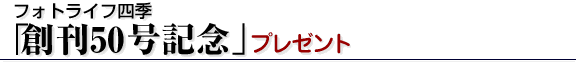 ���c�����搶�́u�A�j�}����t�H�g�M�������[�v