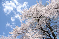 雲と一緒に撮影