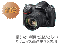 銅賞　D300S