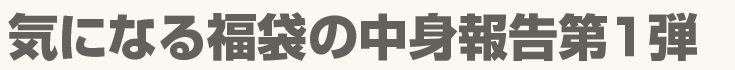 気になる福袋の中身報告第１弾