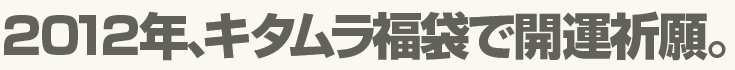 2012年、キタムラ福袋で開運祈願。