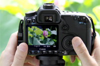 製品写真：EOS 50D 背面