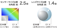 ギャップマイクロレンズ概念図