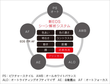 EOSシーン解析システム