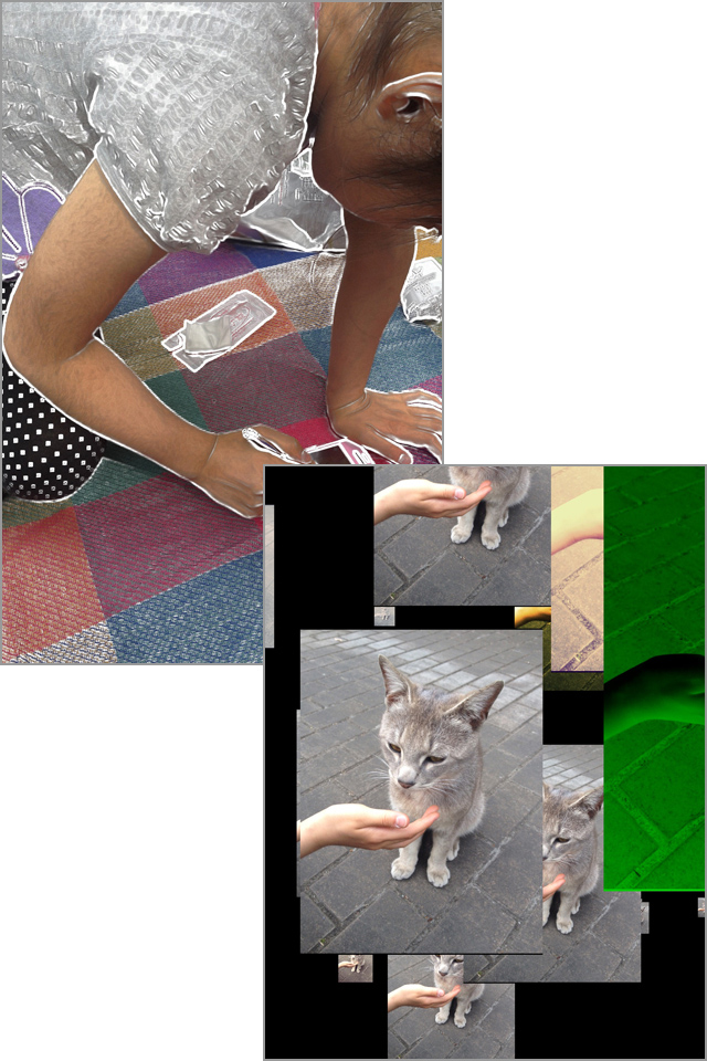 いろんな写真を撮影してどんどん共有しましょう!